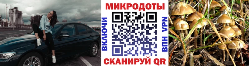 Псилоцибиновые грибы мицелий  Темрюк 